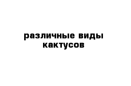 различные виды кактусов